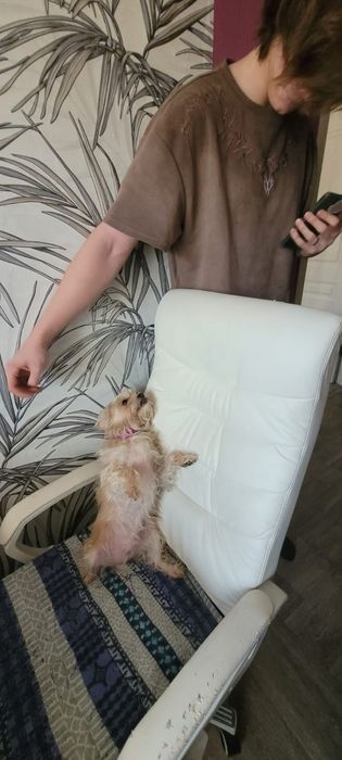 отдаём в хорошие руки