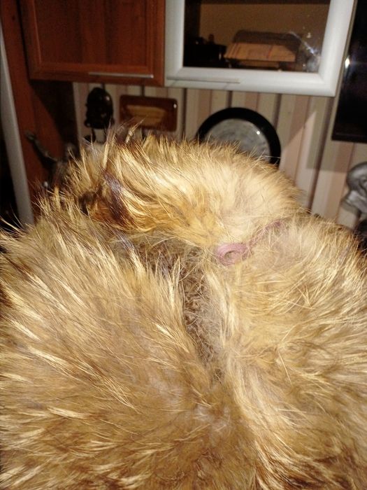 Продам шапку ушанку каракуль ссср