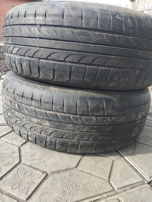 205 60 р15 летние