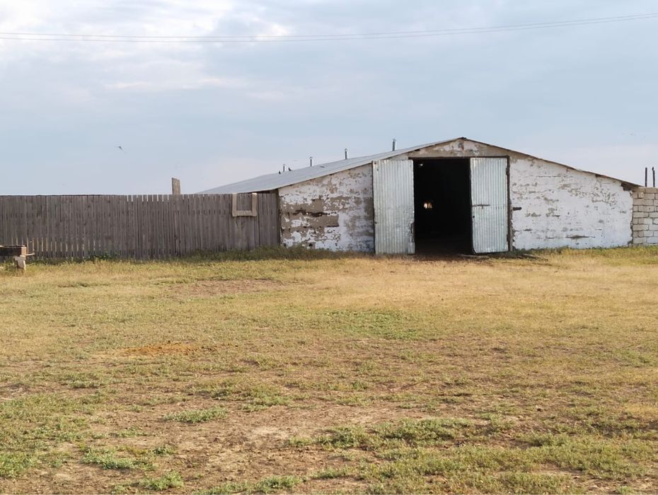 Шаруа қожалық сатылымда