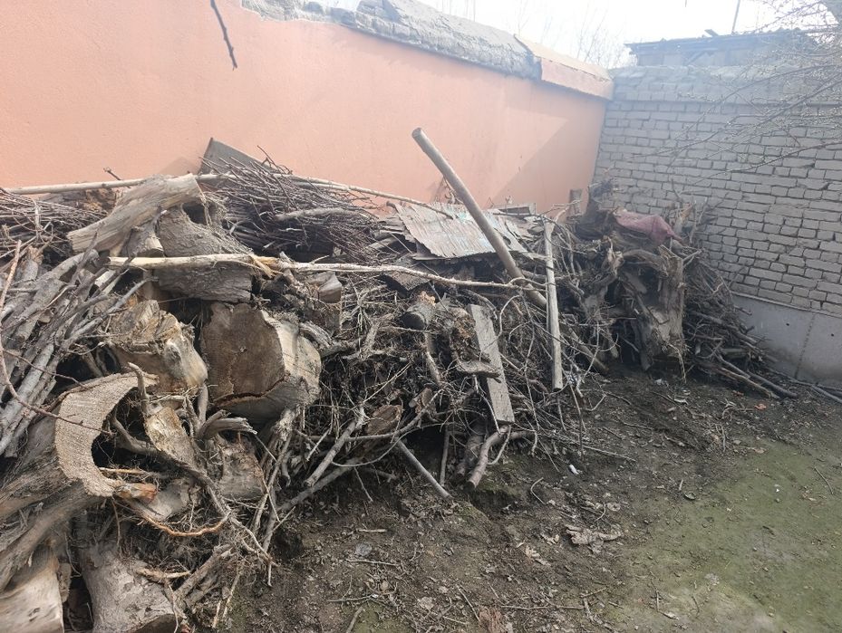 Сумалакка утин сотилади