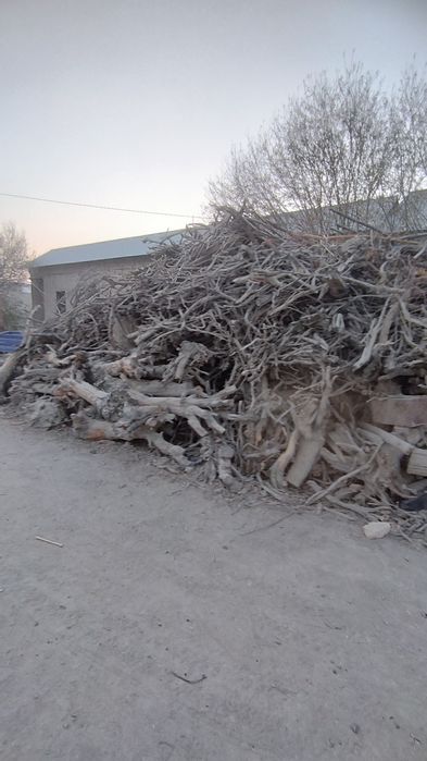 Олма у́тин кунда сотилади