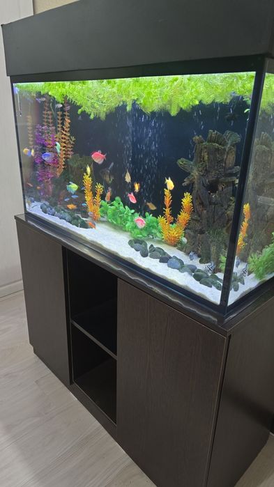 Продам аквариум 220л