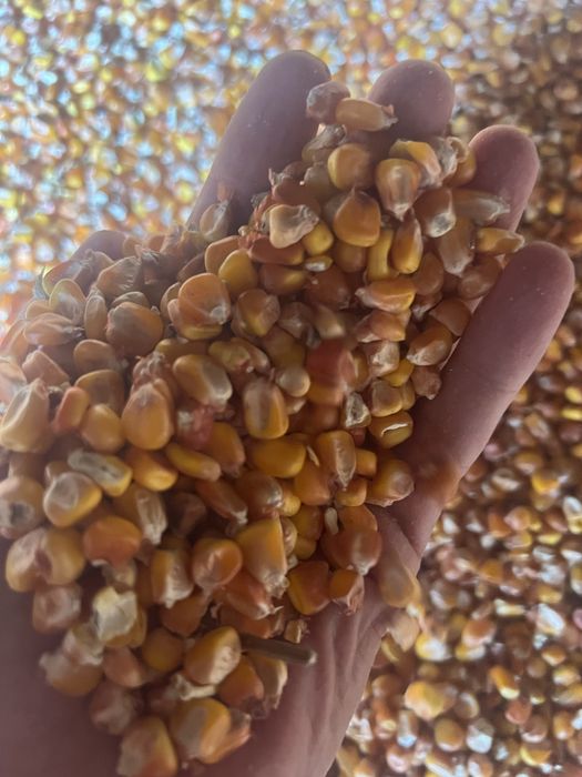 Комбикорм в мешках по 30 кг