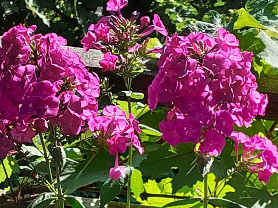 Продам дачу на Айгуле