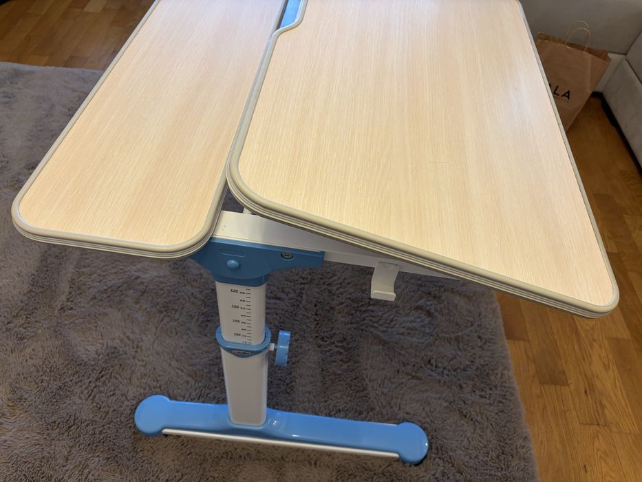 Birou si scaun ergonomic copii WISDOM/STUDY reglabil inaltime, cu sertar Mobexpert