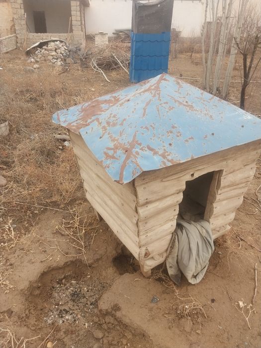 Теремок для собак