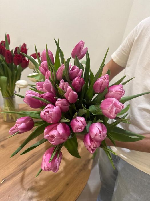 Тюльпаны алматинские