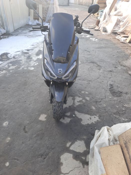 Tigr skuter Sotiladi