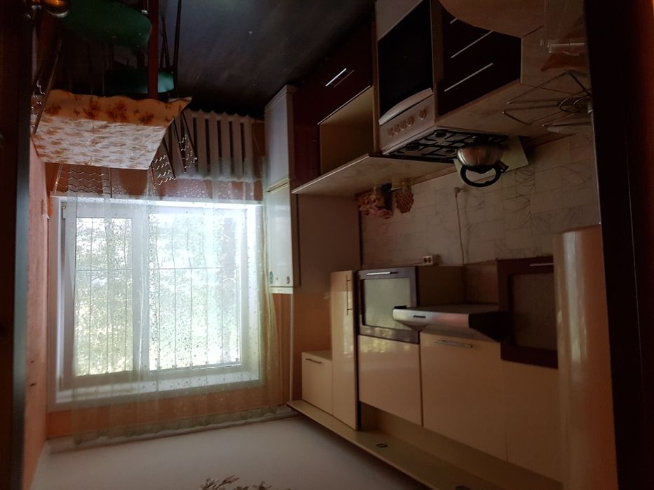 Сдам койко-место .