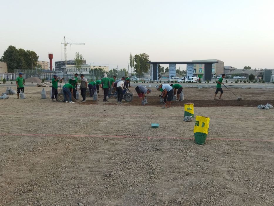 Газон екиш ланшаф Gazon ekish Xizmati Mutaxassis.