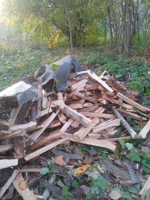 Дрова в мешках продам