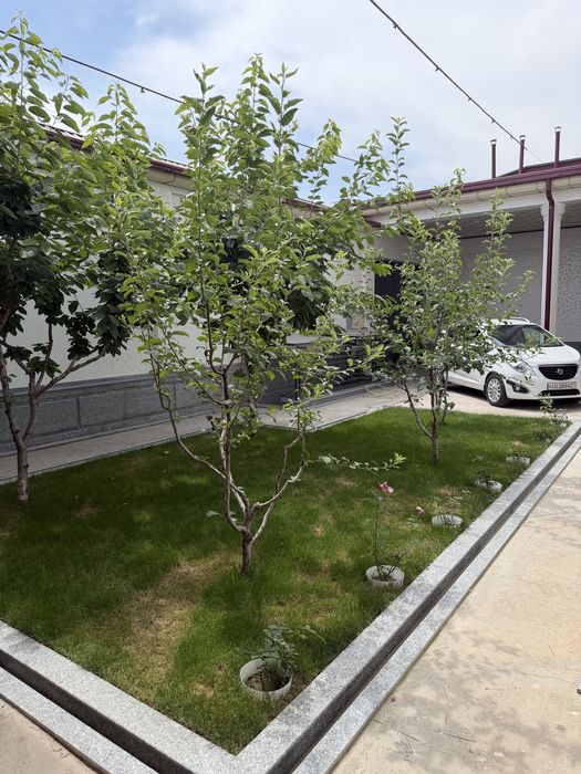 O’rikzor lager mahalla tayyor 4 sotixli hovli