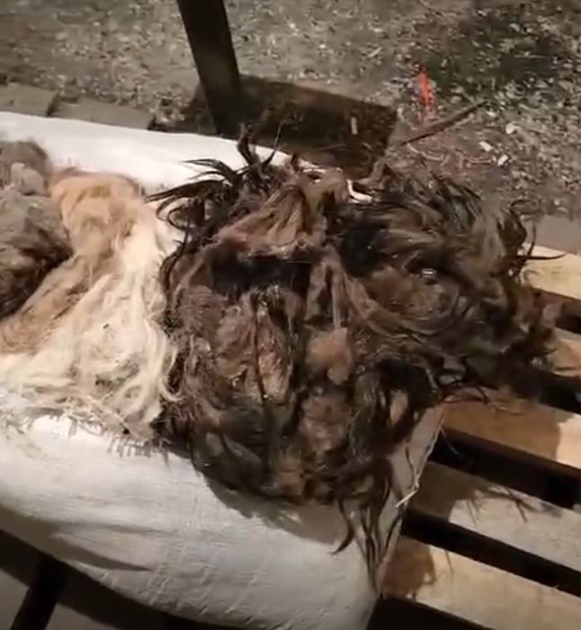 Принимаю козые щерсть