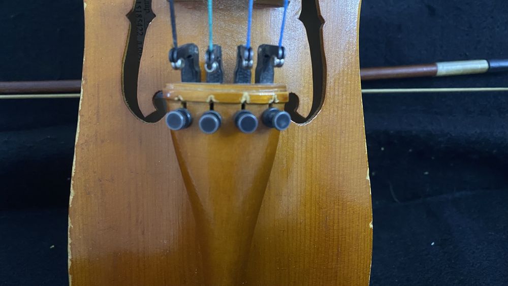 Кобыз павлодарская