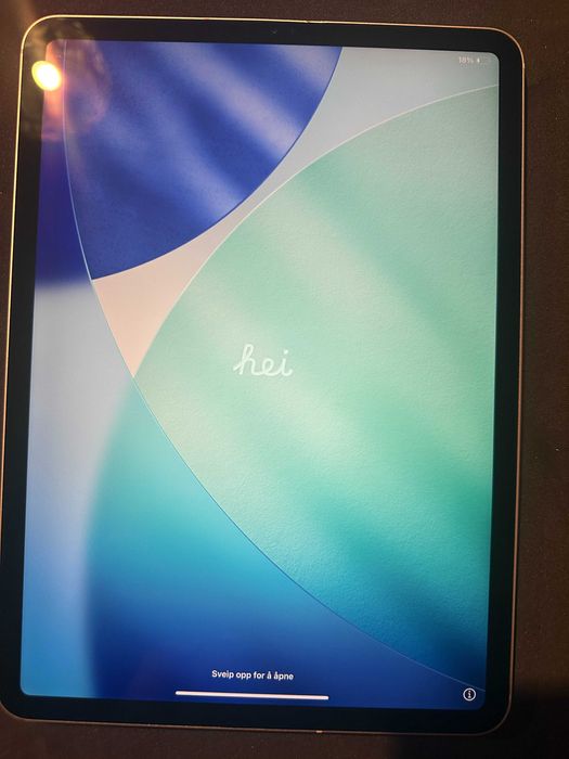 Apple Ipad Pro 11 inchi Gen 1 cu 512GB + Sim