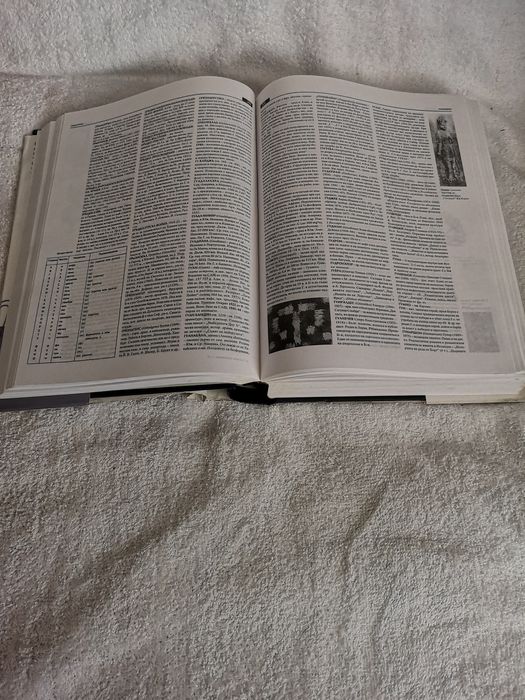 Българска енциклопедия.