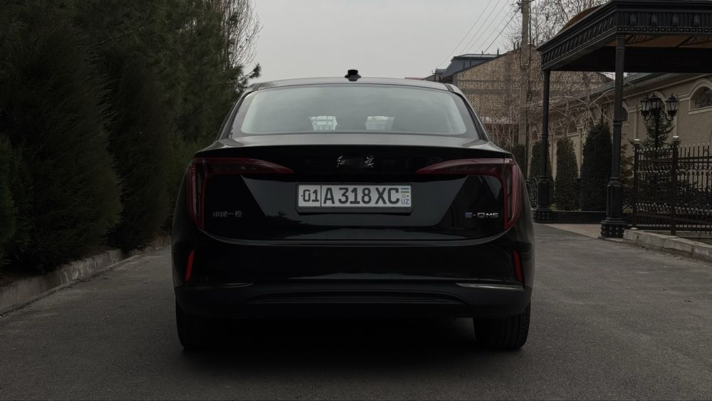 Hongqi E-QM5 16000$