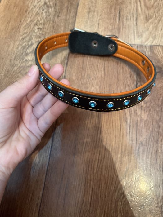 Ошейник для собак