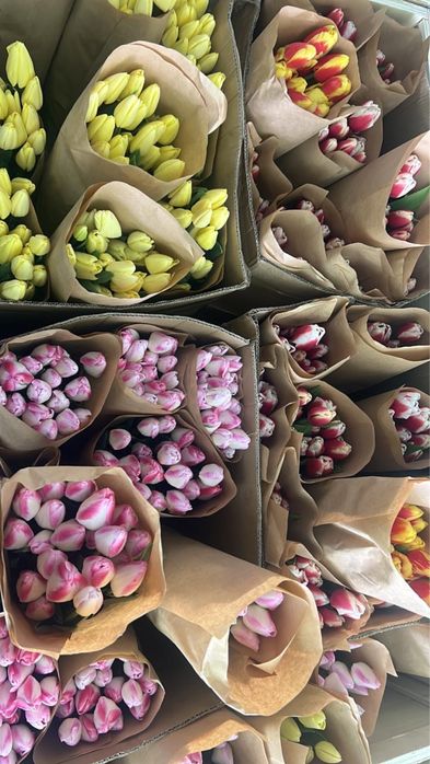 Тюлпаны по выгдной цене