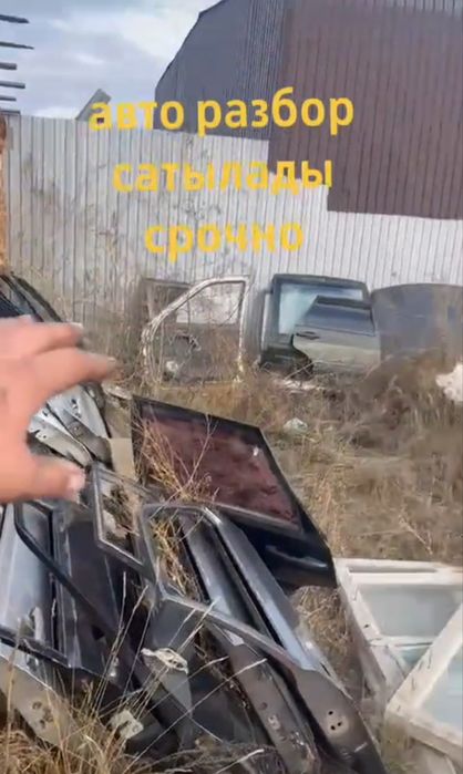 Обмен на баран овцы