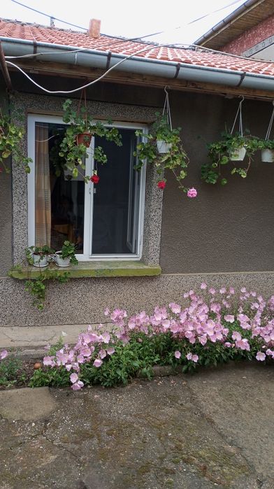 Къща в село Вълчитрън,обл.Плевенска+Подарък Лек автомобил