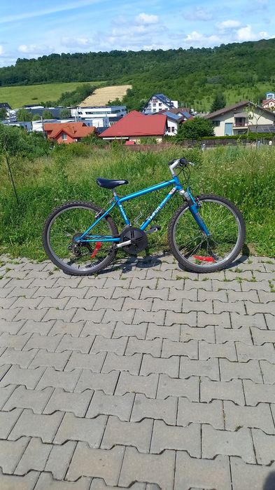 Bicicletă copii MTB Taifun Spider P84