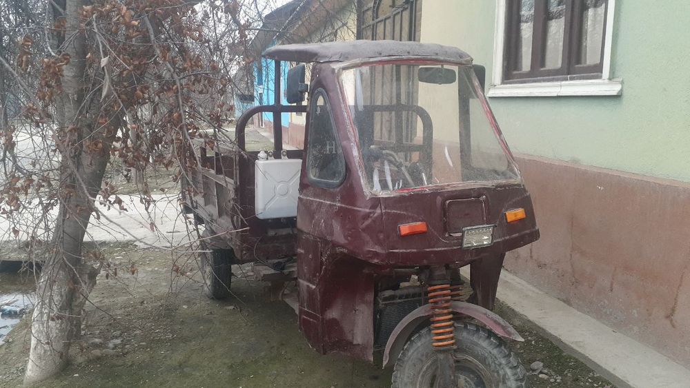 Muravey xonji 200takik vodemnoy