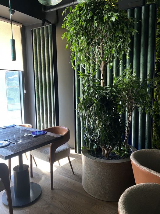 Вазон “Цилиндр D800”