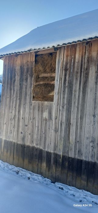 Vând otavă este în fânar