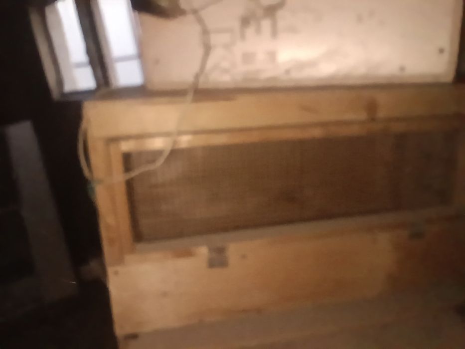 Брудер балапандарға