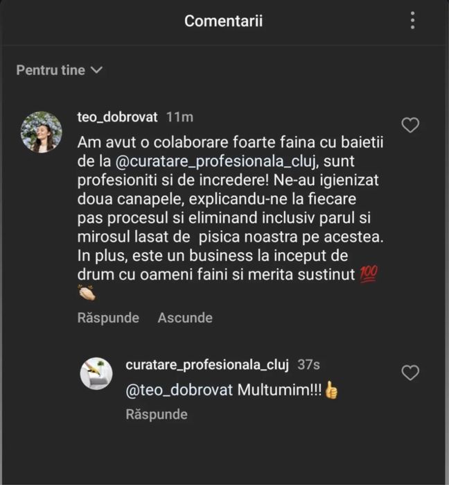 Igienizare/Spalare Tapiterie, Auto, Canapele, Saltele