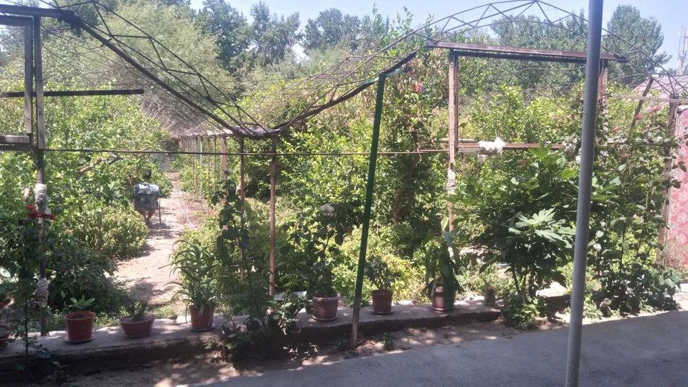 чирчик шахарида участка сотилади