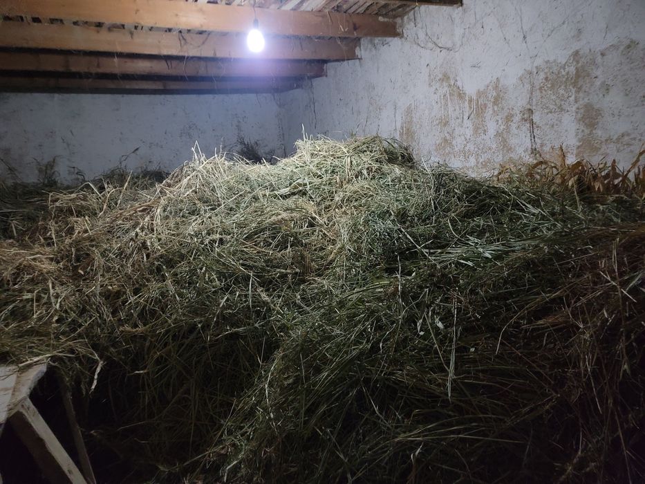 Ут,беда,хашак сотилади