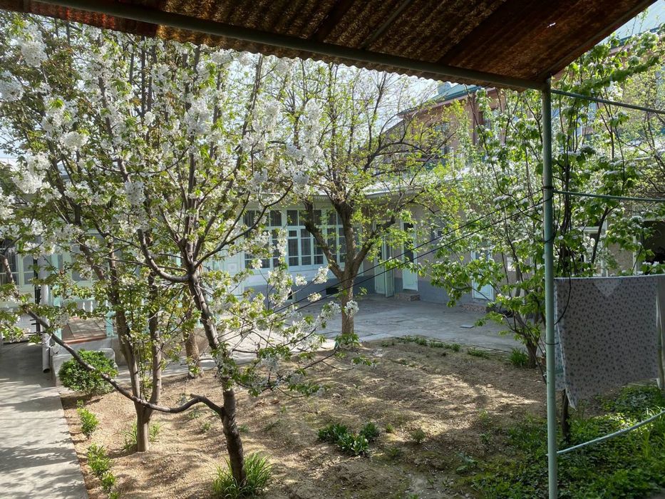 Соломатина, Фрегат, 6 соток