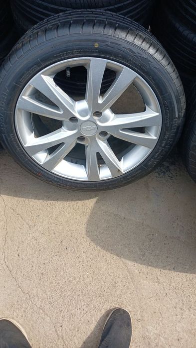 Jentraga saka diska r17
