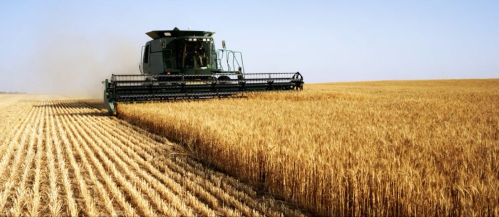 Vand 7 hectare teren Pogoanele