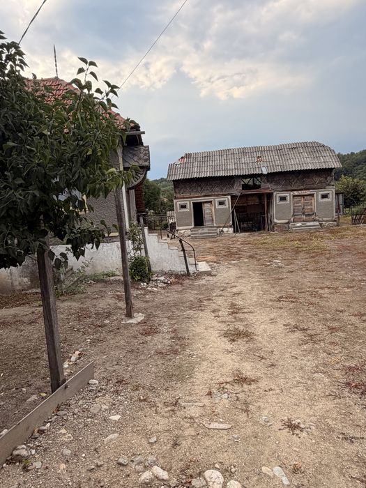 Teren de vanzare