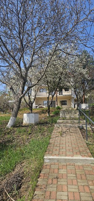 PF vand (schimb cu apartament + diferenta)vila individuala P+1+M , 1000 mp teren,VISAN