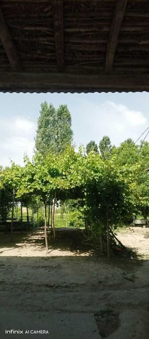 Fayzli uy sotilmoqda