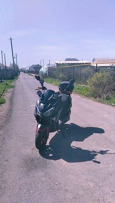 Maksii 1 поколение