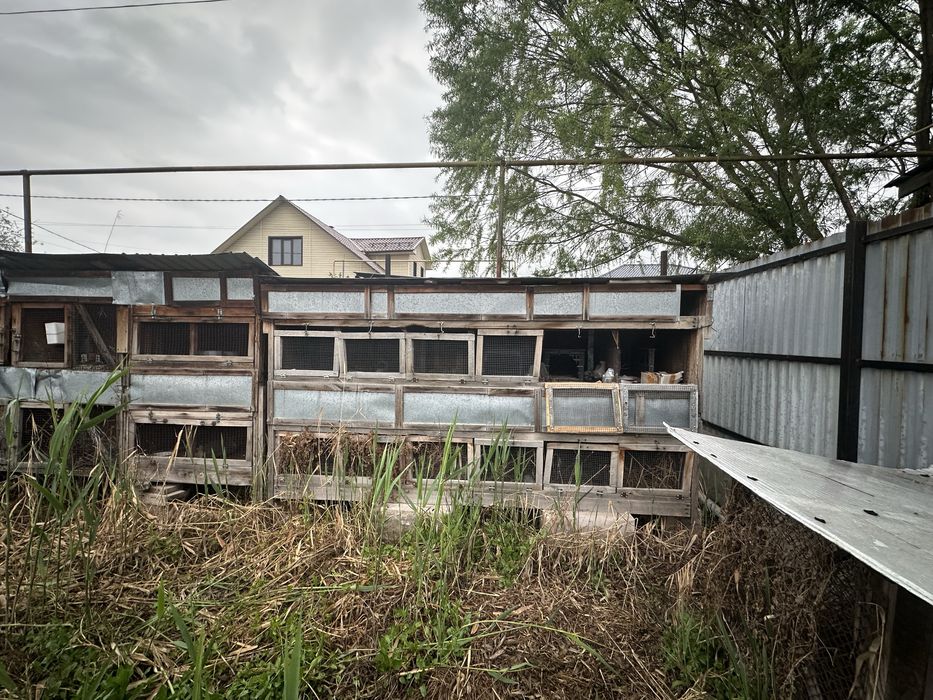 Клетки для кролов , крольчатник