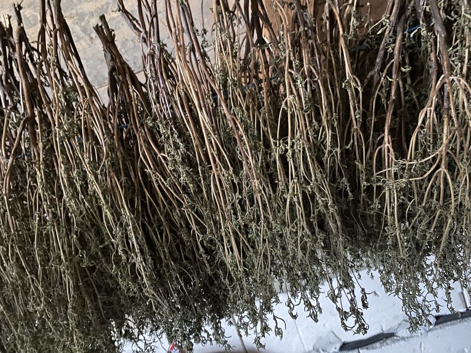 Miez de nucă, hrean, cimbru,mentă