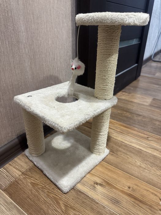 Когтеточка для котят