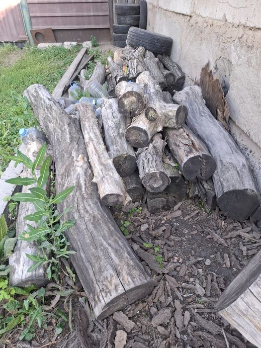 Дрова (чурки сухие) бесплатно!