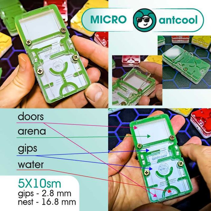 MICRO Формикарий, муравьиная ферма. Formikarium, chumolilar fermasi