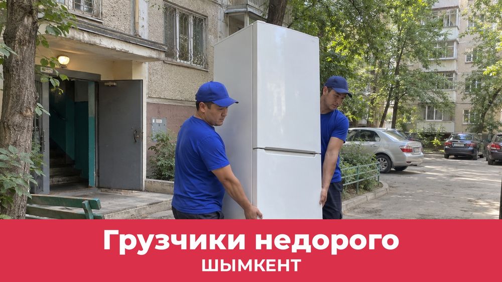 Недорогие грузчики в Шымкенте
