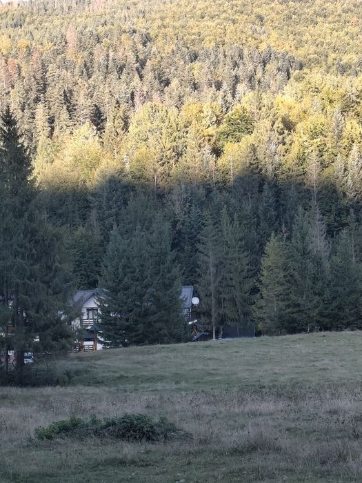 Voroneț,Casa Ioana, Bucovina