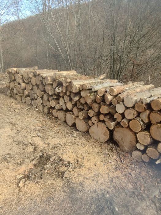 Citește anunțul Aducem lemn de foc
