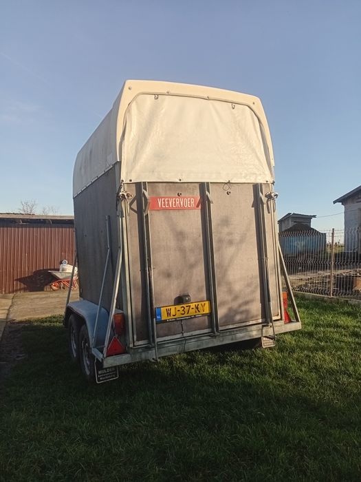 Remorcă Henra de vânzare!